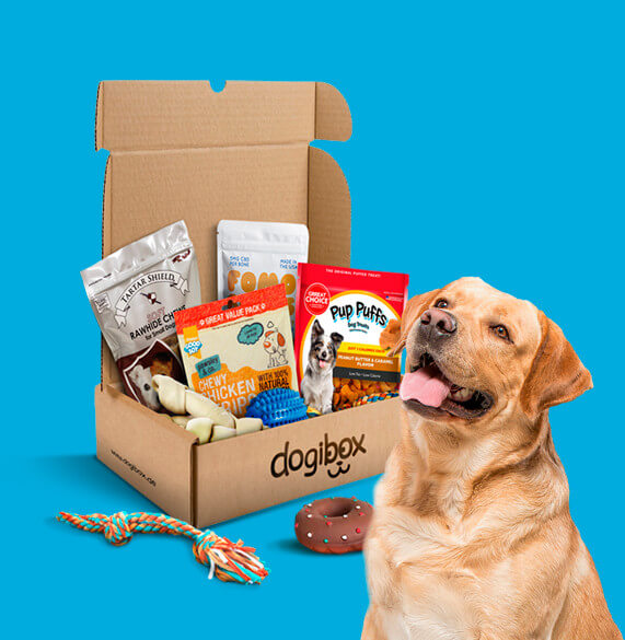 dogibox - Überraschungsbox | Offizielle Website