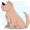 dogibox “groß” – 3 Monate